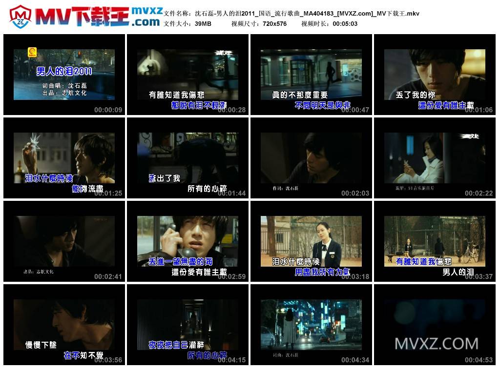 沈石磊-男人的泪2011_国语_流行歌曲_MA404183